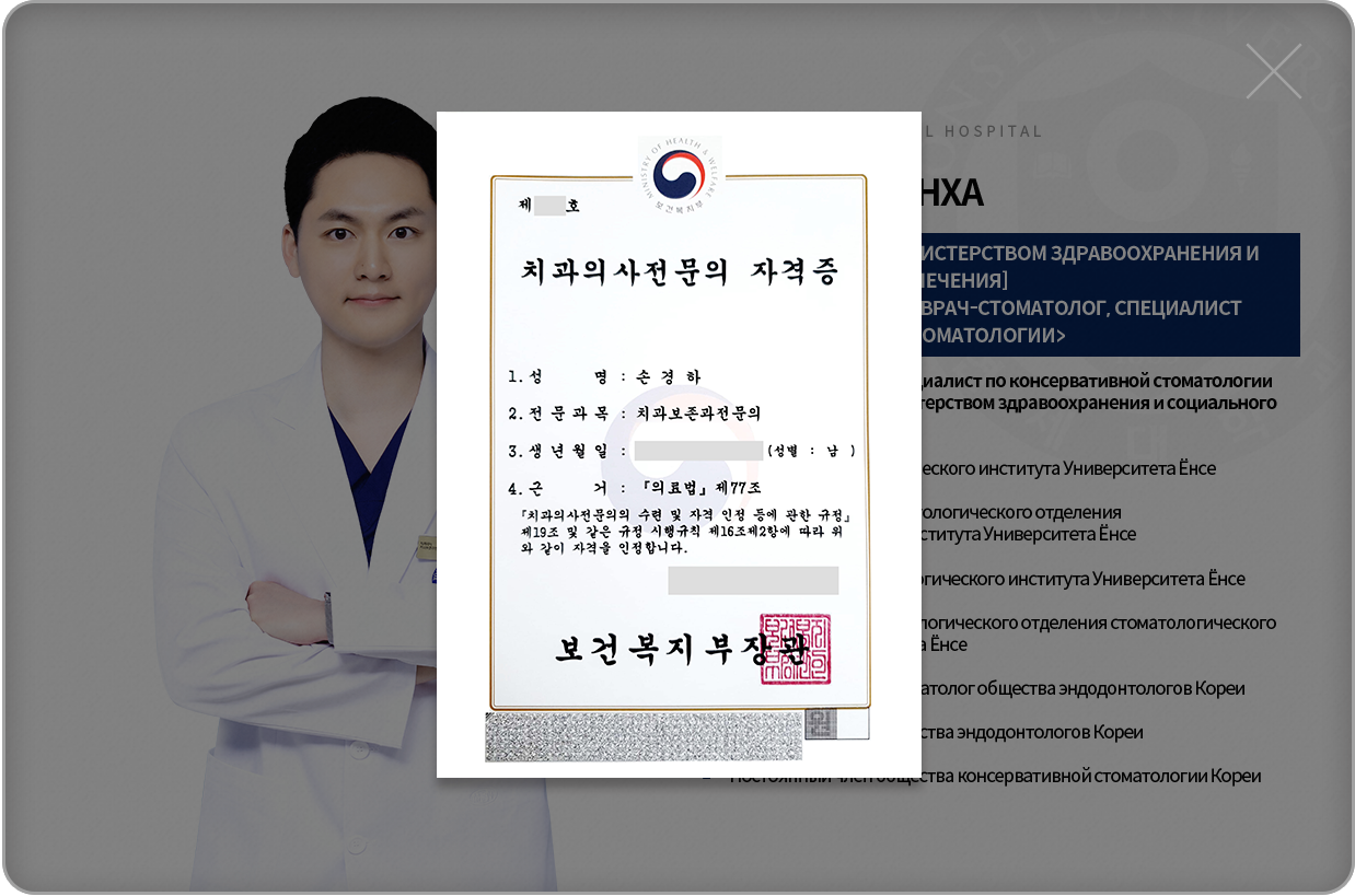 손경하-치과보존과전문의-약력